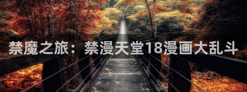 volcanicage漫画：禁魔之旅：禁漫天堂18漫画大乱斗