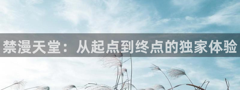 kakaopage韩漫官网：禁漫天堂：从起点到终点的独家体验