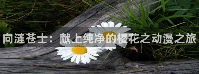 韩漫漫画下载：向涟苍士：献上纯净的樱花之动漫之旅