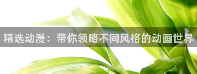 韩漫漫画网下载：精选动漫：带你领略不同风格的动画世界
