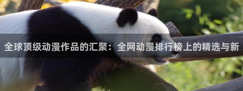 kakaopage韩漫官网：全球顶级动漫作品的汇聚：全网动漫排行榜上的精选与新