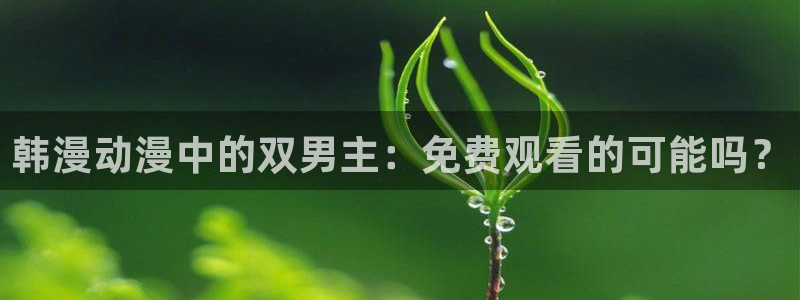 韩漫漫画官网在线入口：韩漫动漫中的双男主：免费观看的可能吗？
