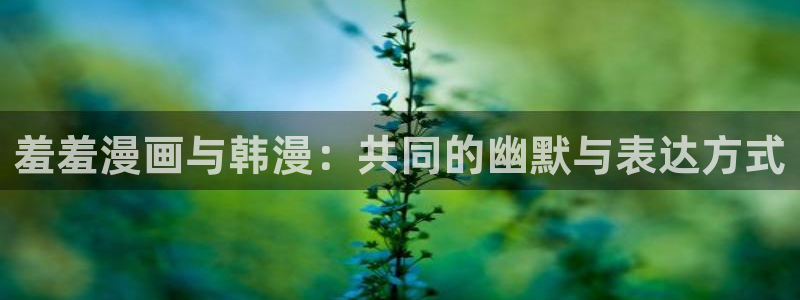 韩漫漫画官网网址：羞羞漫画与韩漫：共同的幽默与表达方式