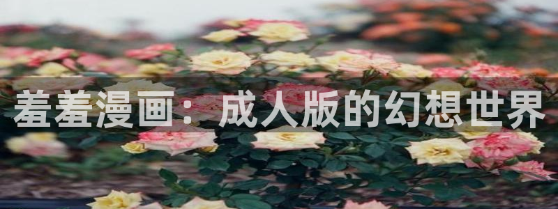 韩漫漫画网：羞羞漫画：成人版的幻想世界