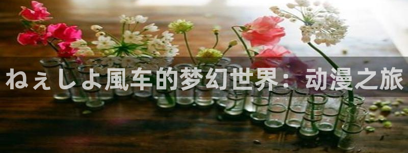 韩漫漫画正版网：ねぇしよ風车的梦幻世界：动漫之旅