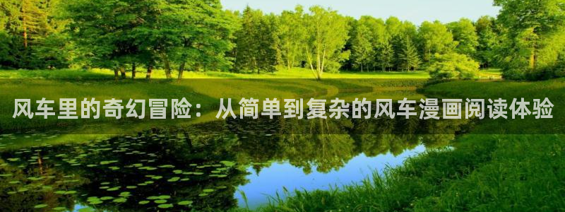 在线动画动漫下载韩漫漫画：风车里的奇幻冒险：从简单到复杂的风车漫画阅读体验