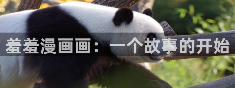 韩漫漫画网下载：羞羞漫画画：一个故事的开始