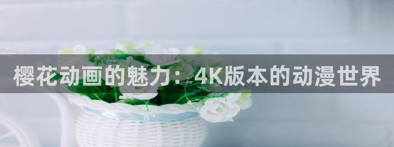 backstage韩漫免费观看：樱花动画的魅力：4K版本的动漫世界