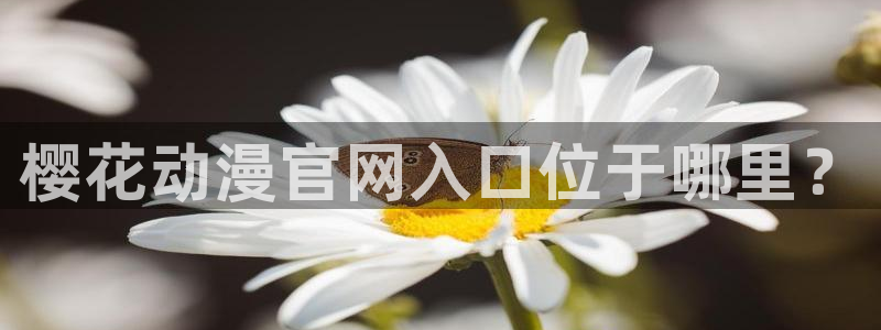 backstage韩漫免费观看：樱花动漫官网入口位于哪里？